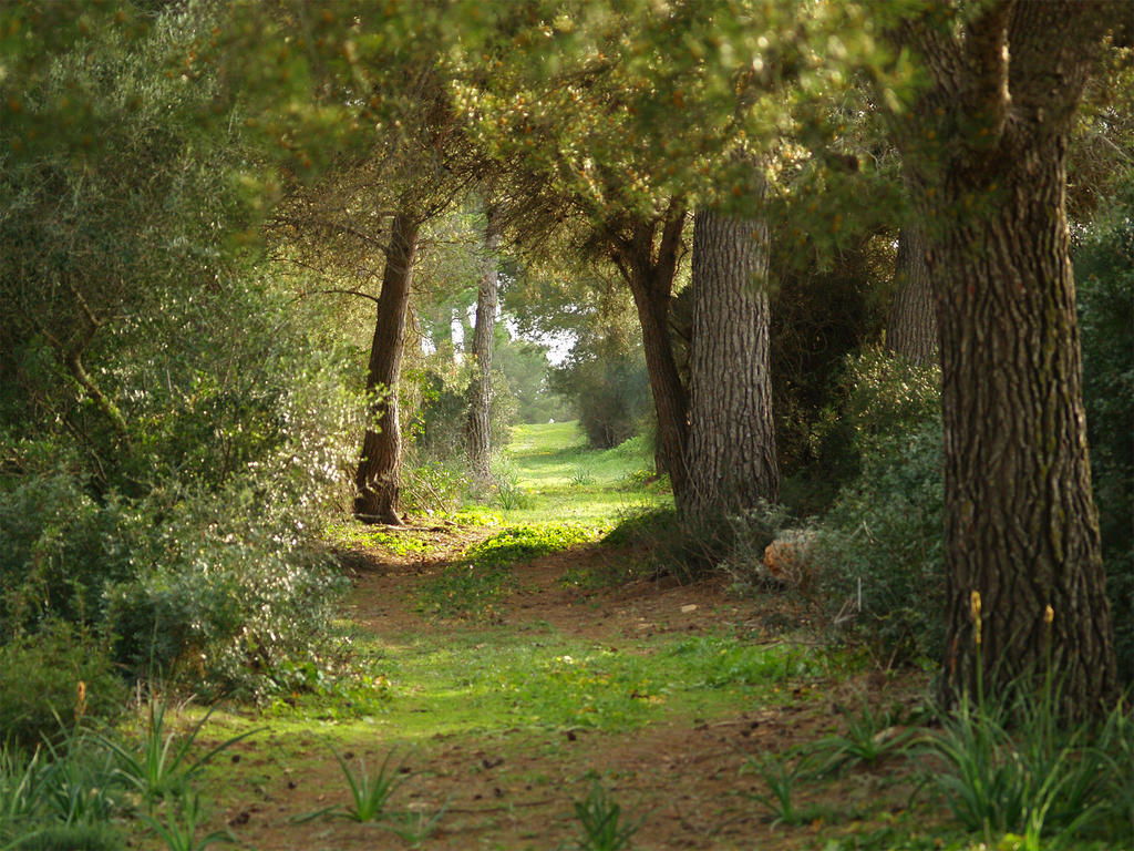 Agroturismo Ses Arenes Guest House Colonia de Sant Jordi Exterior photo